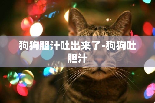 狗狗膽汁吐出來了-狗狗吐膽汁