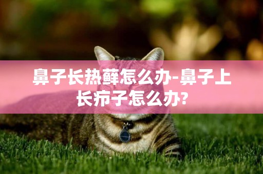 鼻子長熱蘚怎么辦-鼻子上長癤子怎么辦?