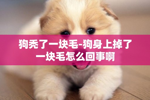 狗禿了一塊毛-狗身上掉了一塊毛怎么回事啊
