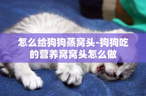 怎么給狗狗蒸窩頭-狗狗吃的營養窩窩頭怎么做
