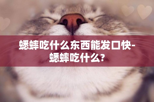 蟋蟀吃什么東西能發口快-蟋蟀吃什么?