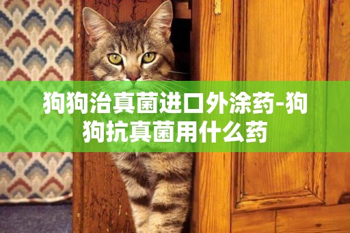 狗狗治真菌進口外涂藥-狗狗抗真菌用什么藥
