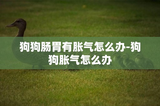 狗狗腸胃有脹氣怎么辦-狗狗脹氣怎么辦
