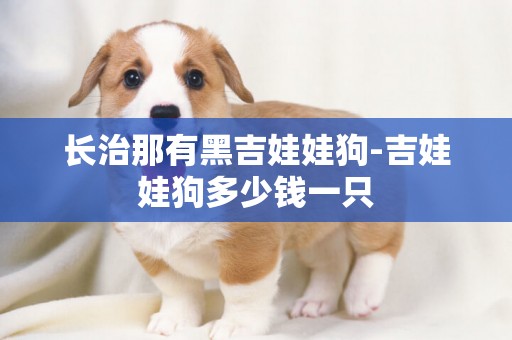 長治那有黑吉娃娃狗-吉娃娃狗多少錢一只