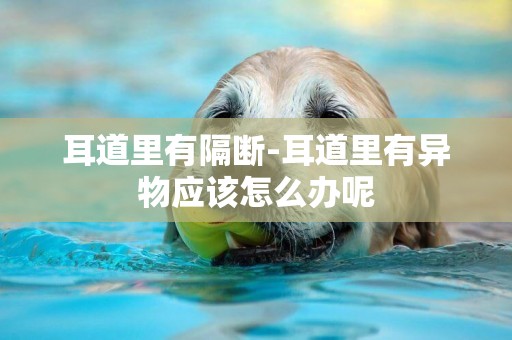 耳道里有隔斷-耳道里有異物應該怎么辦呢