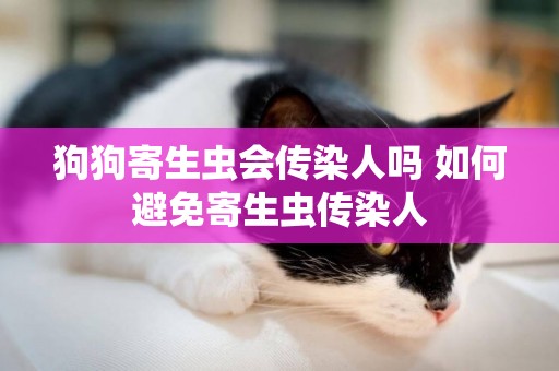 狗狗寄生蟲會傳染人嗎 如何避免寄生蟲傳染人