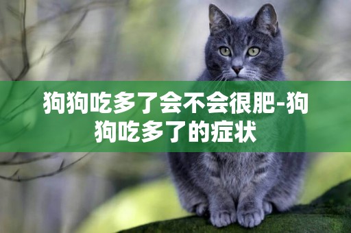 狗狗吃多了會不會很肥-狗狗吃多了的癥狀