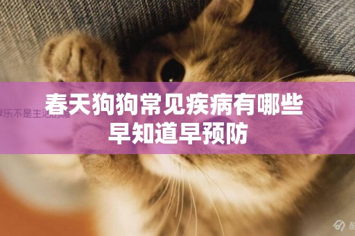 春天狗狗常見疾病有哪些 早知道早預防