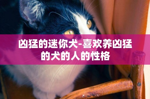 兇猛的迷你犬-喜歡養兇猛的犬的人的性格