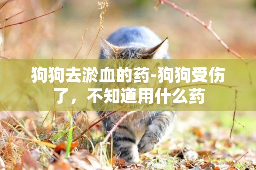 狗狗去淤血的藥-狗狗受傷了，不知道用什么藥