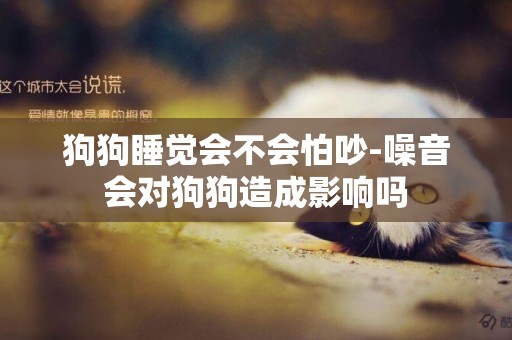 狗狗睡覺會不會怕吵-噪音會對狗狗造成影響嗎