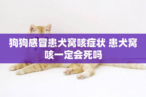 狗狗感冒患犬窩咳癥狀 患犬窩咳一定會死嗎