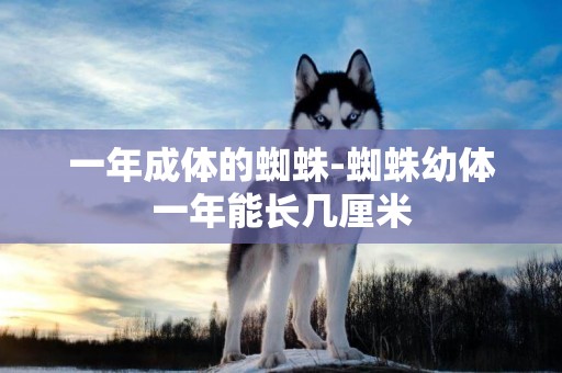 一年成體的蜘蛛-蜘蛛幼體一年能長幾厘米