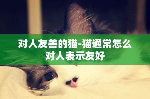 對人友善的貓-貓通常怎么對人表示友好
