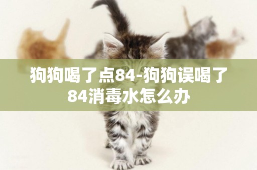 狗狗喝了點84-狗狗誤喝了84消毒水怎么辦