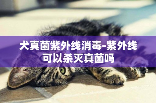 犬真菌紫外線消毒-紫外線可以殺滅真菌嗎