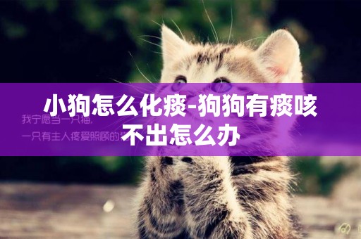 小狗怎么化痰-狗狗有痰咳不出怎么辦