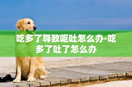 吃多了導致嘔吐怎么辦-吃多了吐了怎么辦