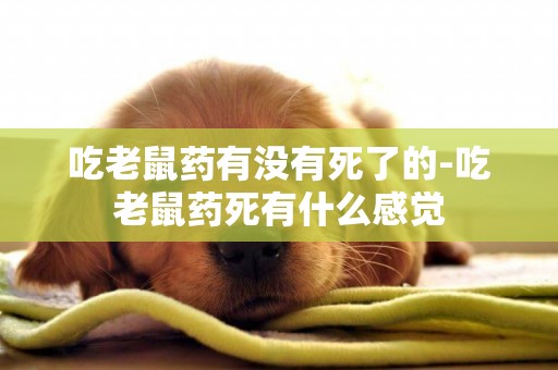 吃老鼠藥有沒有死了的-吃老鼠藥死有什么感覺