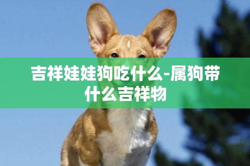 吉祥娃娃狗吃什么-屬狗帶什么吉祥物