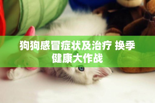 狗狗感冒癥狀及治療 換季健康大作戰