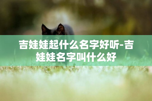 吉娃娃起什么名字好聽-吉娃娃名字叫什么好