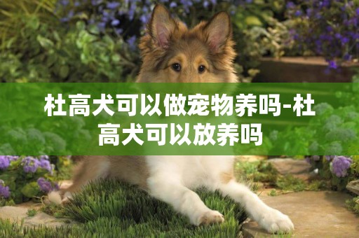杜高犬可以做寵物養嗎-杜高犬可以放養嗎