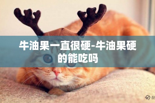 牛油果一直很硬-牛油果硬的能吃嗎