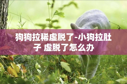 狗狗拉稀虛脫了-小狗拉肚子 虛脫了怎么辦