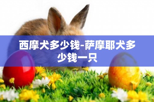 西摩犬多少錢-薩摩耶犬多少錢一只