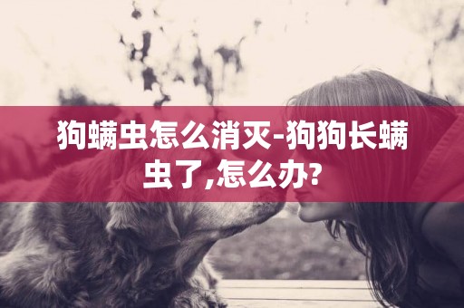 狗螨蟲怎么消滅-狗狗長螨蟲了,怎么辦?