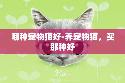 哪種寵物貓好-養寵物貓，買那種好