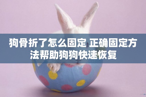 狗骨折了怎么固定 正確固定方法幫助狗狗快速恢復