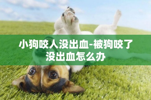 小狗咬人沒出血-被狗咬了沒出血怎么辦