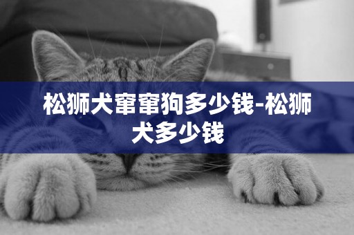 松獅犬竄竄狗多少錢-松獅犬多少錢