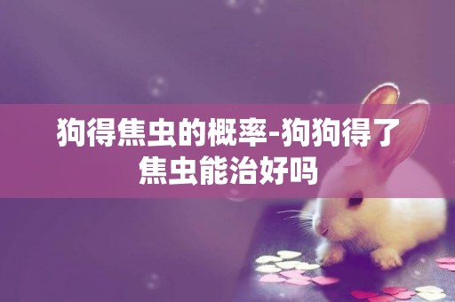 狗得焦蟲的概率-狗狗得了焦蟲能治好嗎