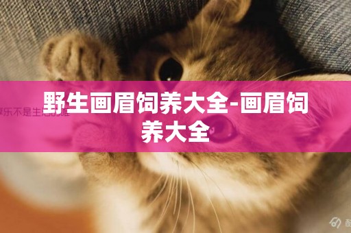 野生畫眉飼養大全-畫眉飼養大全