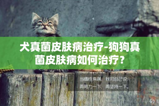 犬真菌皮膚病治療-狗狗真菌皮膚病如何治療？