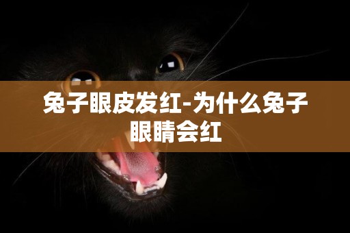 兔子眼皮發紅-為什么兔子眼睛會紅