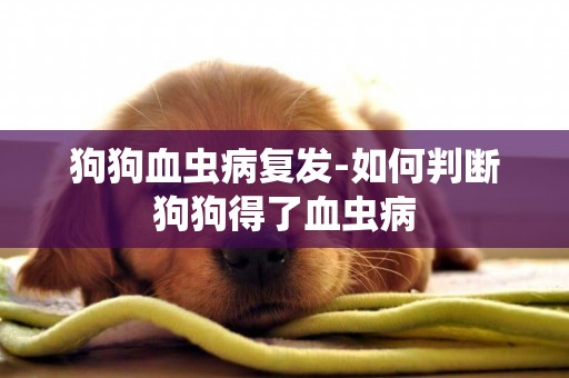 狗狗血蟲病復發-如何判斷狗狗得了血蟲病