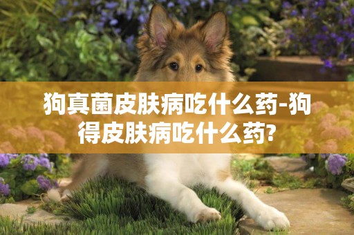 狗真菌皮膚病吃什么藥-狗得皮膚病吃什么藥?