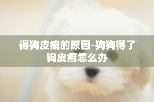 得狗皮癬的原因-狗狗得了狗皮癬怎么辦