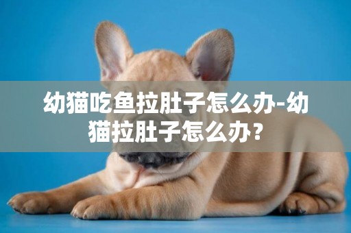 幼貓吃魚拉肚子怎么辦-幼貓拉肚子怎么辦？
