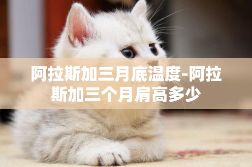 阿拉斯加三月底溫度-阿拉斯加三個月肩高多少