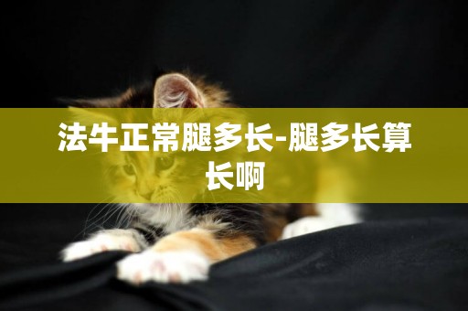 法牛正常腿多長-腿多長算長啊