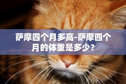 薩摩四個月多高-薩摩四個月的體重是多少？