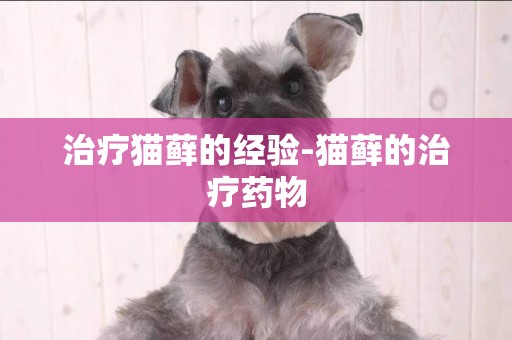 治療貓蘚的經驗-貓蘚的治療藥物