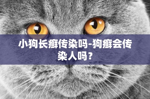 小狗長癬傳染嗎-狗癬會傳染人嗎？