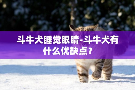 斗牛犬睡覺眼睛-斗牛犬有什么優缺點？