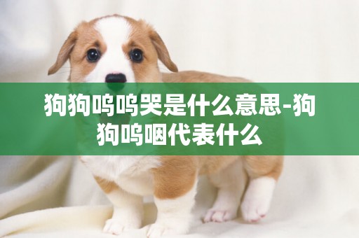 狗狗嗚嗚哭是什么意思-狗狗嗚咽代表什么